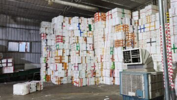 Cassette in polistirolo per pesce: come ridurre spazio e costi nella logistica del freddo