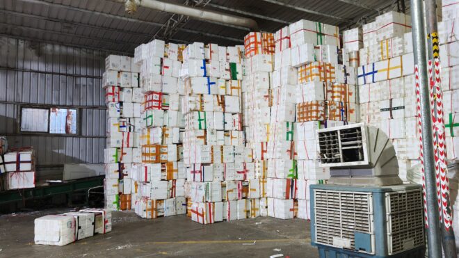 Una soluzione completa per il riciclo di schiume di tipi e fonti multipli con il Densificatore per Schiume